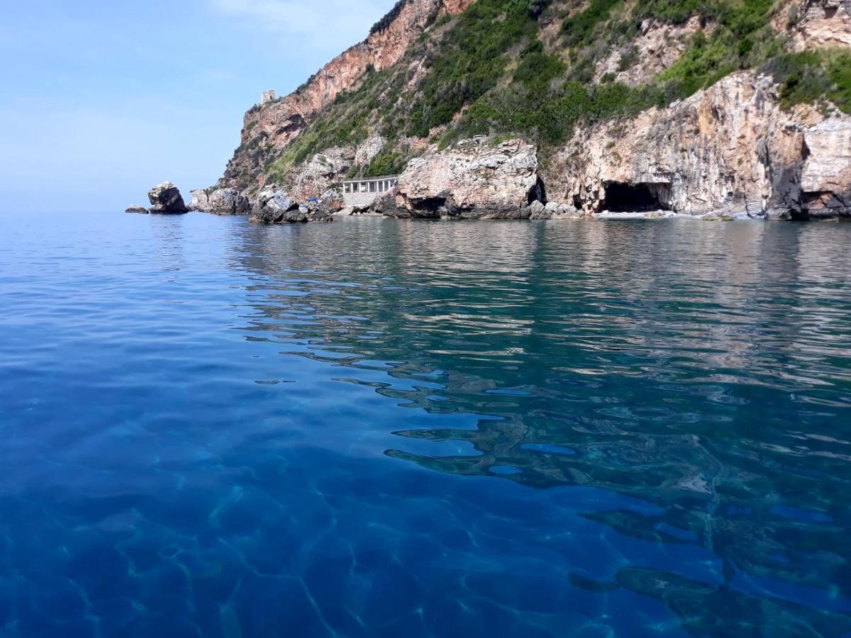 B&B Mediterraneo 체트라로 외부 사진